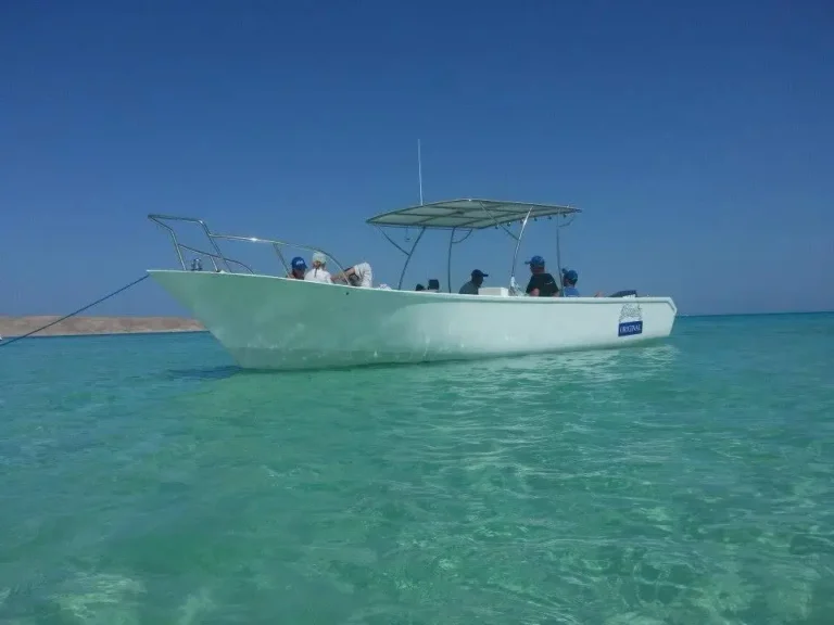 24 ft Grady-White Walkaround (1)