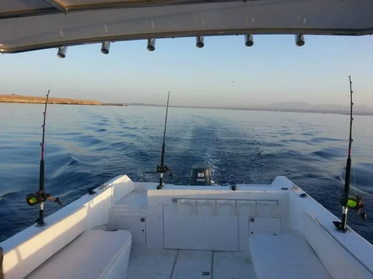 Bluefin (1)